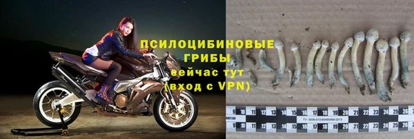 прущие крисы Михайлов
