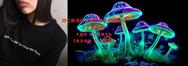2c-b Михайловск