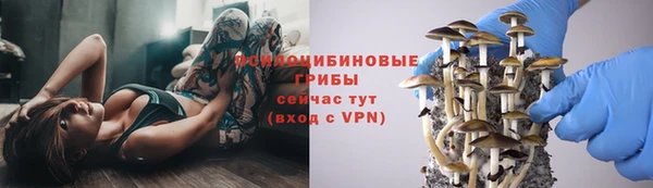 2c-b Михайловск