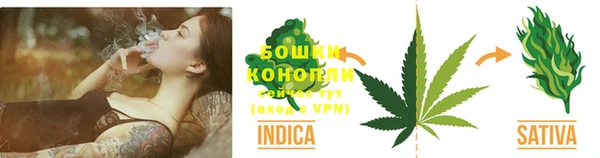 прущие крисы Михайлов
