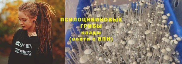 прущие крисы Михайлов
