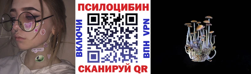 Псилоцибиновые грибы Psilocybe  Купить закладки  Заволжск 